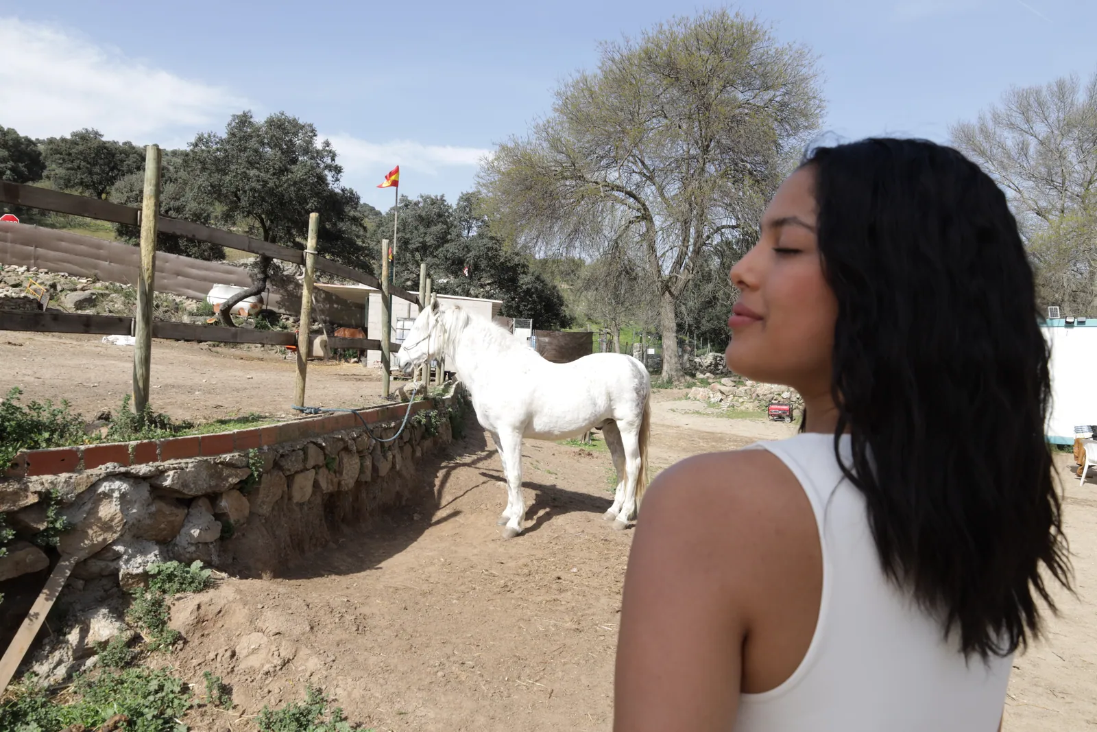 Caballo blanco en el corral de Finca El Sarao, con la sierra y la bandera de España al fondo